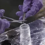 Image illustrating the resilience of bioplastic drinking straws, discovered intact after over a year buried underground, showcasing the durability of eco-friendly alternatives.