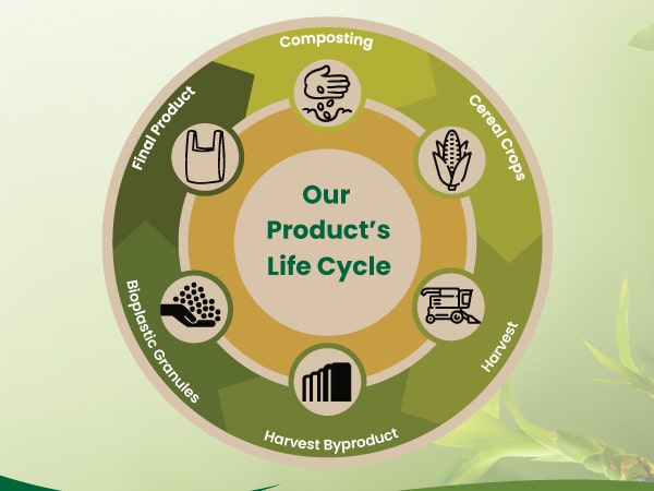 Infographic depicting the life cycle of biodegradable and compostable products, from production to disposal, emphasizing environmental sustainability.